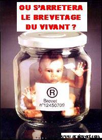 Jusqu'o ira le brevetage du vivant ?